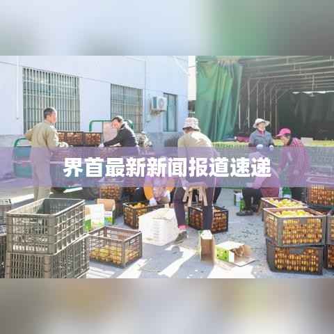 界首最新新闻报道速递