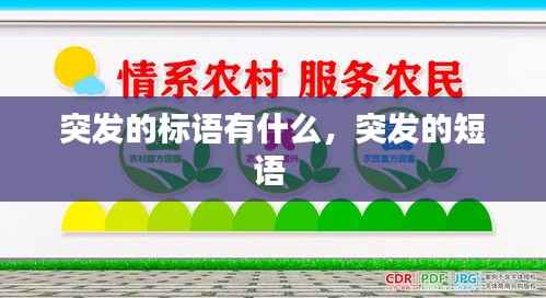 突发的标语有什么,突发的短语
