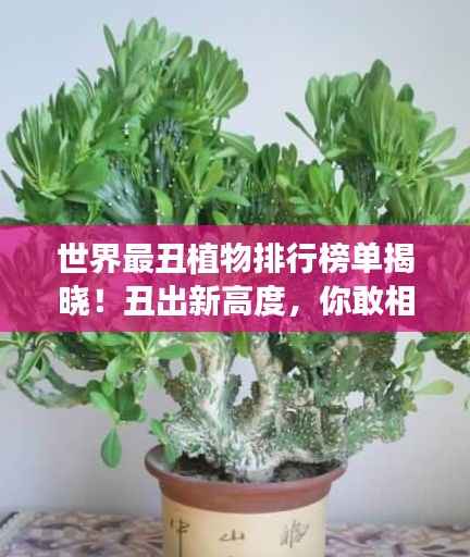 世界最丑植物排行榜单揭晓!丑出新高度,你敢相信吗?