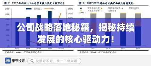公司战略落地秘籍,揭秘持续发展的核心驱动力!