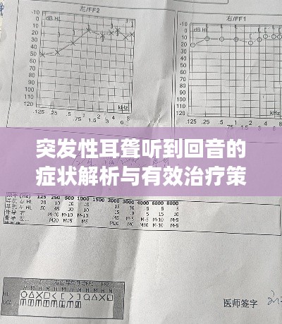 突发性耳聋听到回音的症状解析与有效治疗策略