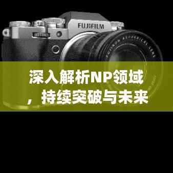 深入解析NP领域,持续突破与未来发展探讨