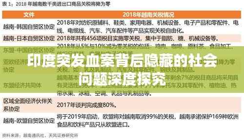 印度突发血案背后隐藏的社会问题深度探究