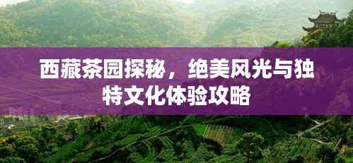 神气十足 第5页