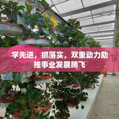 学先进,抓落实,双重动力助推事业发展腾飞