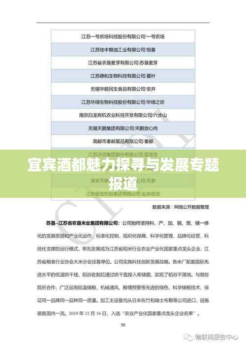 宜宾酒都魅力探寻与发展专题报道