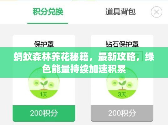 蚂蚁森林养花秘籍,最新攻略,绿色能量持续加速积累