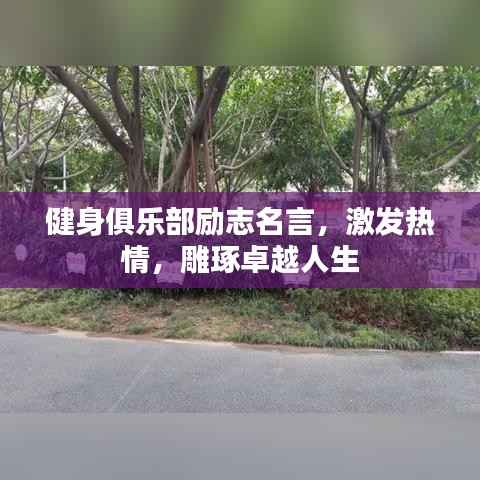 健身俱乐部励志名言,激发热情,雕琢卓越人生