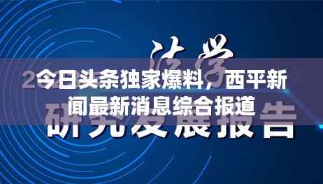 今日头条独家爆料,西平新闻最新消息综合报道