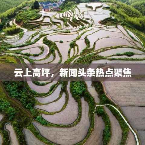 云上高坪,新闻头条热点聚焦