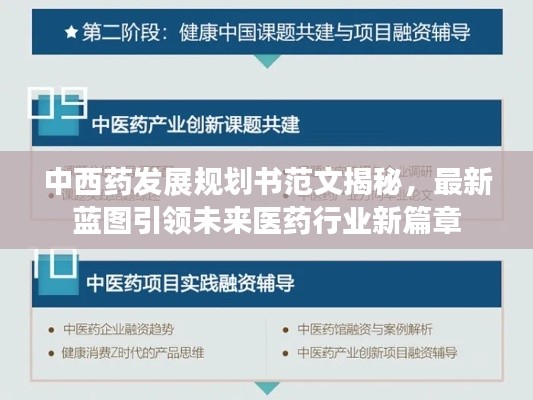 中西药发展规划书范文揭秘,最新蓝图引领未来医药行业新篇章
