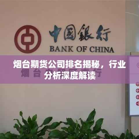烟台期货公司排名揭秘,行业分析深度解读