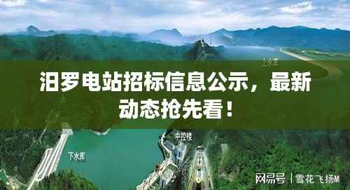 汨罗电站招标信息公示,最新动态抢先看!