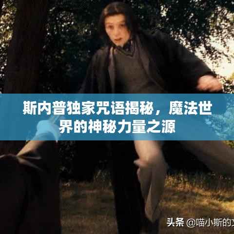 斯内普独家咒语揭秘,魔法世界的神秘力量之源