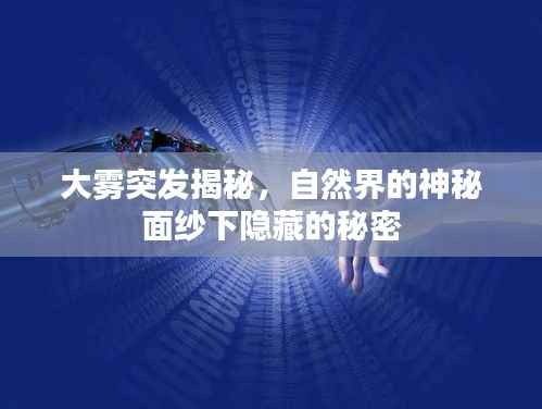 大雾突发揭秘，自然界的神秘面纱下隐藏的秘密