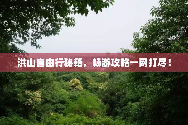 洪山自由行秘籍,畅游攻略一网打尽!