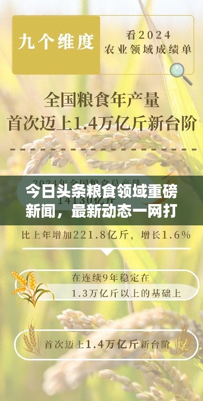 今日头条粮食领域重磅新闻,最新动态一网打尽
