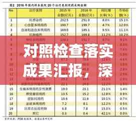 对照检查落实成果汇报，深度剖析问题，精准实施整改