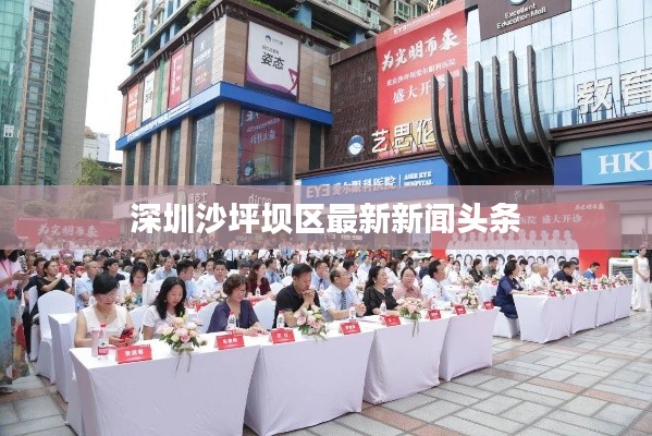 深圳沙坪坝区最新新闻头条