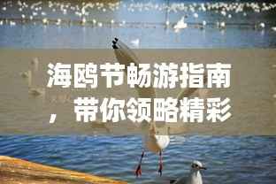 海鸥节畅游指南,带你领略精彩旅游攻略!