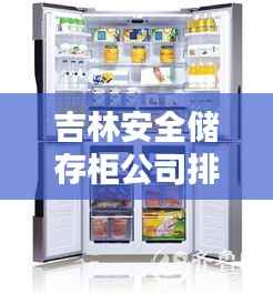 吉林安全储存柜公司排名大揭秘!专业评测出炉,权威榜单来袭!