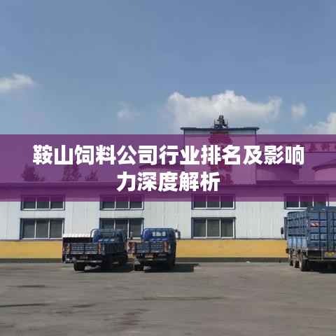 鞍山饲料公司行业排名及影响力深度解析