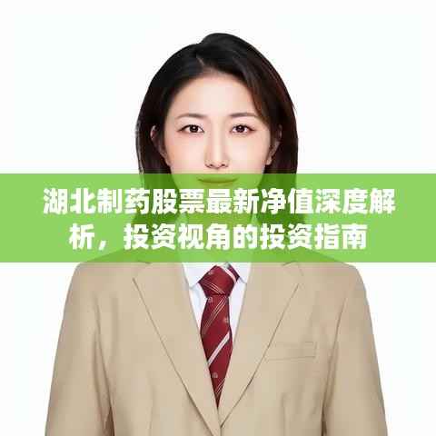 湖北制药股票最新净值深度解析，投资视角的投资指南
