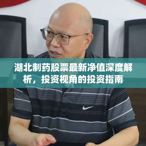 湖北制药股票最新净值深度解析,投资视角的投资指南