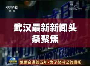 武汉最新新闻头条聚焦