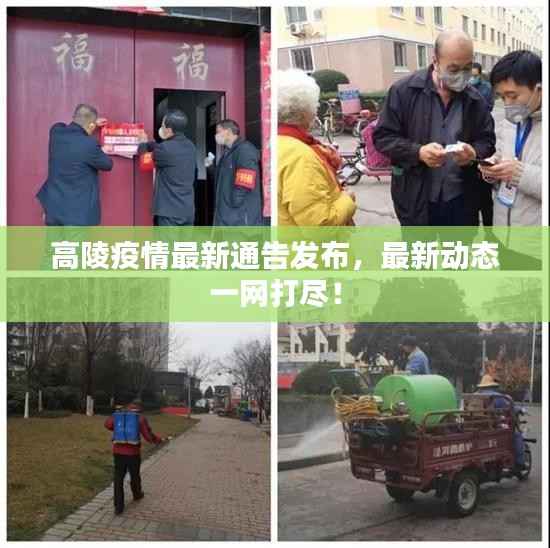 高陵疫情最新通告发布，最新动态一网打尽！