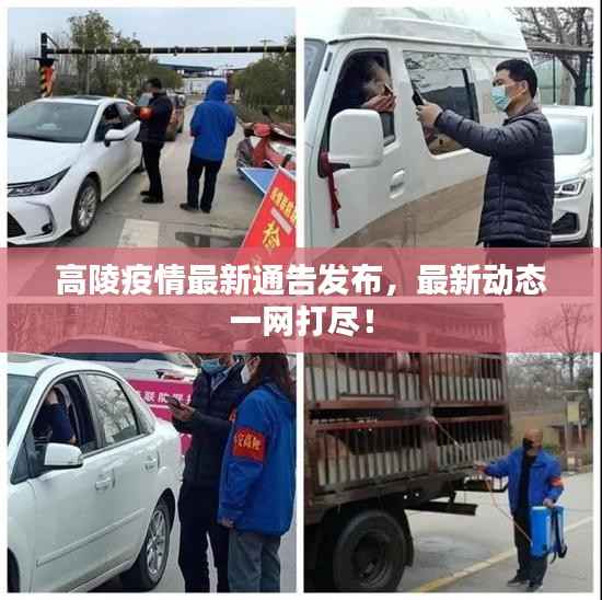 高陵疫情最新通告发布,最新动态一网打尽!