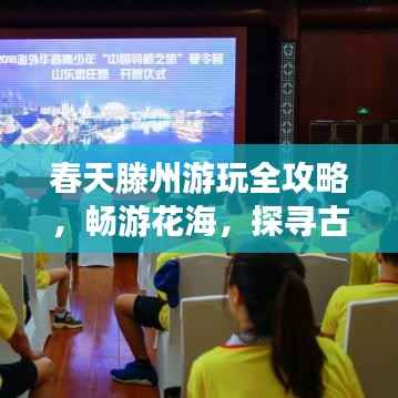 春天滕州游玩全攻略,畅游花海,探寻古城魅力!