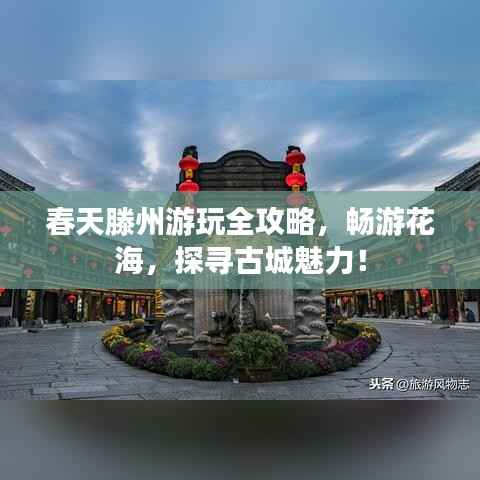 春天滕州游玩全攻略,畅游花海,探寻古城魅力!