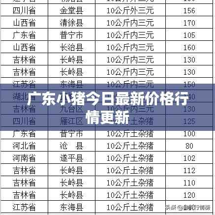 广东小猪今日最新价格行情更新