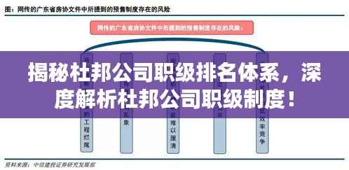 揭秘杜邦公司职级排名体系,深度解析杜邦公司职级制度!