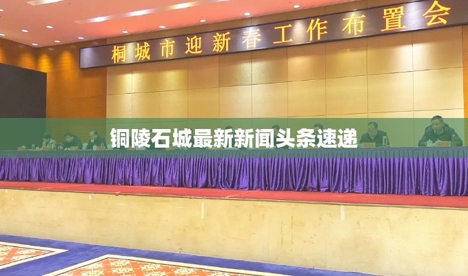 铜陵石城最新新闻头条速递