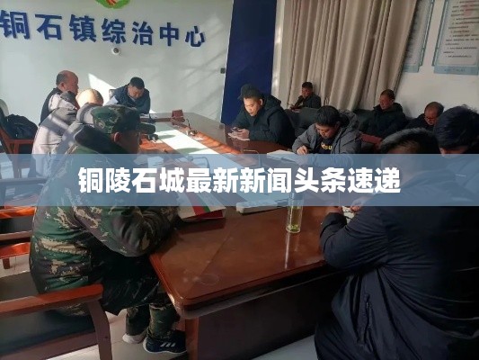 铜陵石城最新新闻头条速递