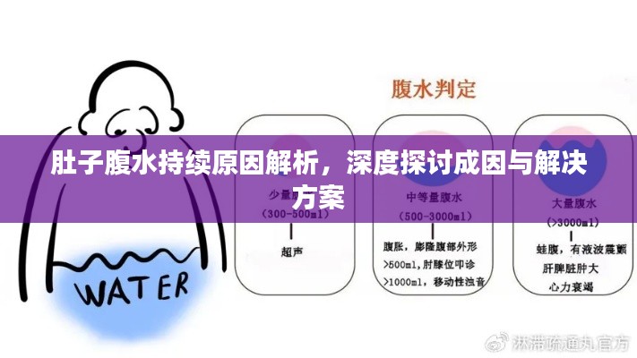 肚子腹水持续原因解析，深度探讨成因与解决方案