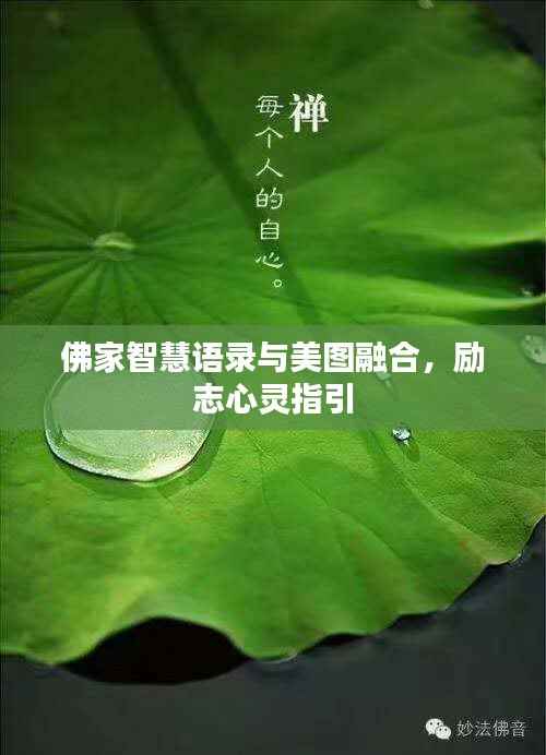 佛家智慧语录与美图融合,励志心灵指引