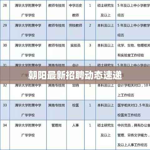 朝阳最新招聘动态速递