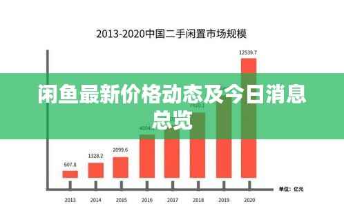 闲鱼最新价格动态及今日消息总览