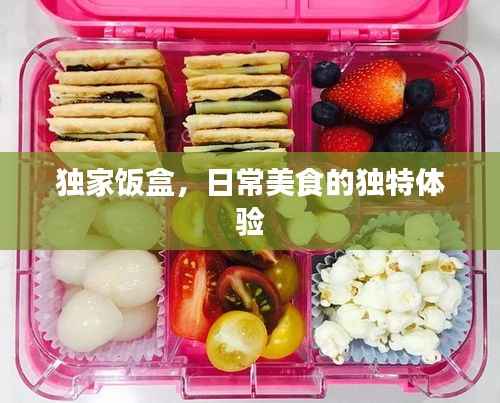独家饭盒,日常美食的独特体验