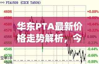华东PTA最新价格走势解析,今日行情一览