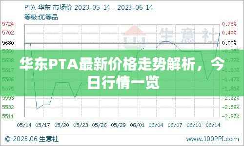 华东PTA最新价格走势解析,今日行情一览