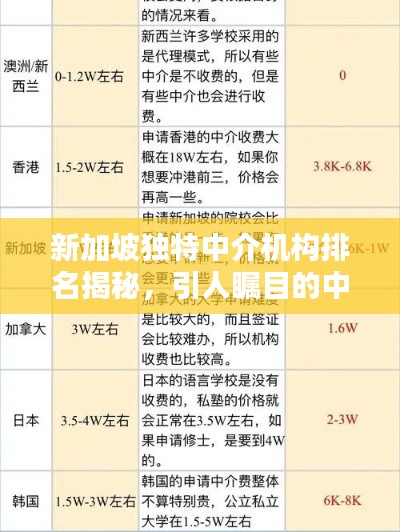 新加坡独特中介机构排名揭秘,引人瞩目的中介公司大盘点