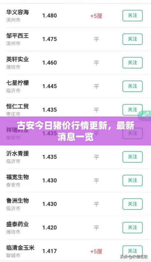 古安今日猪价行情更新，最新消息一览