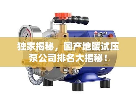 独家揭秘,国产地暖试压泵公司排名大揭秘!