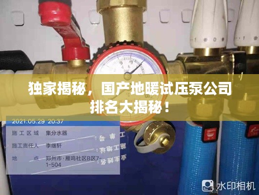 独家揭秘,国产地暖试压泵公司排名大揭秘!