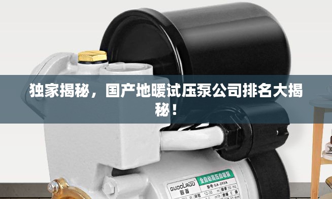 独家揭秘,国产地暖试压泵公司排名大揭秘!