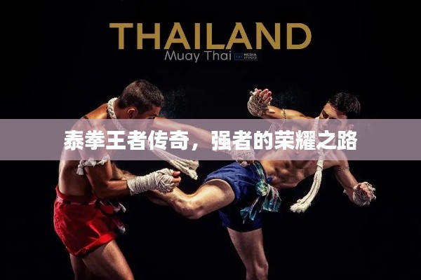 泰拳王者传奇,强者的荣耀之路